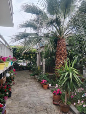 Patra Rooms Skala Prinou